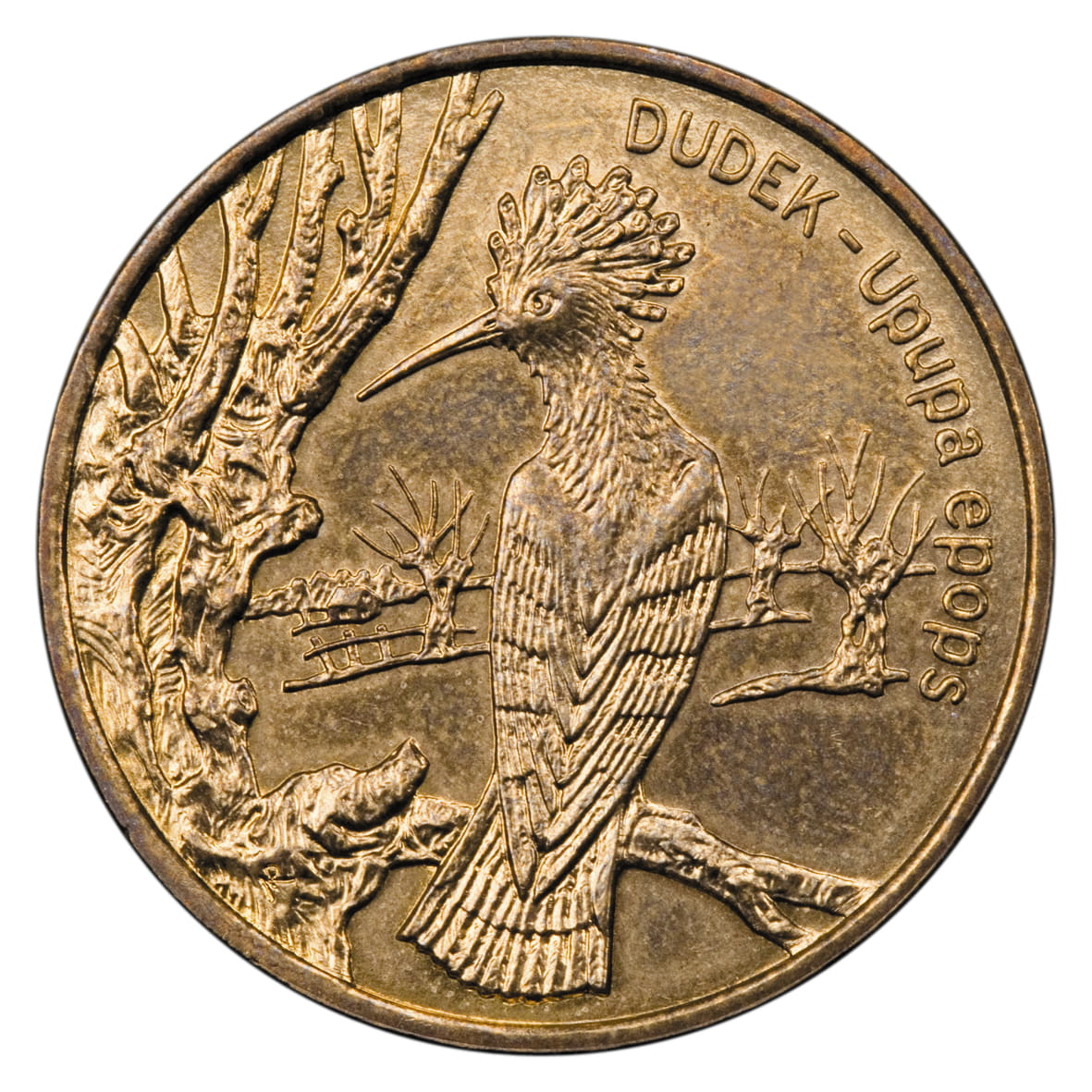 2 zł Dudek (łac. Upupa epops)