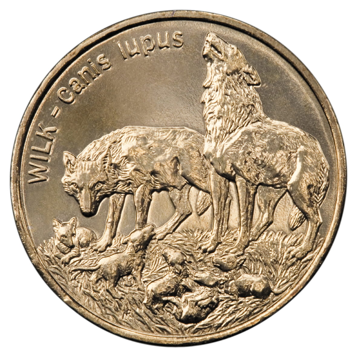 2 zł Wilk (łac. Canis lupus)
